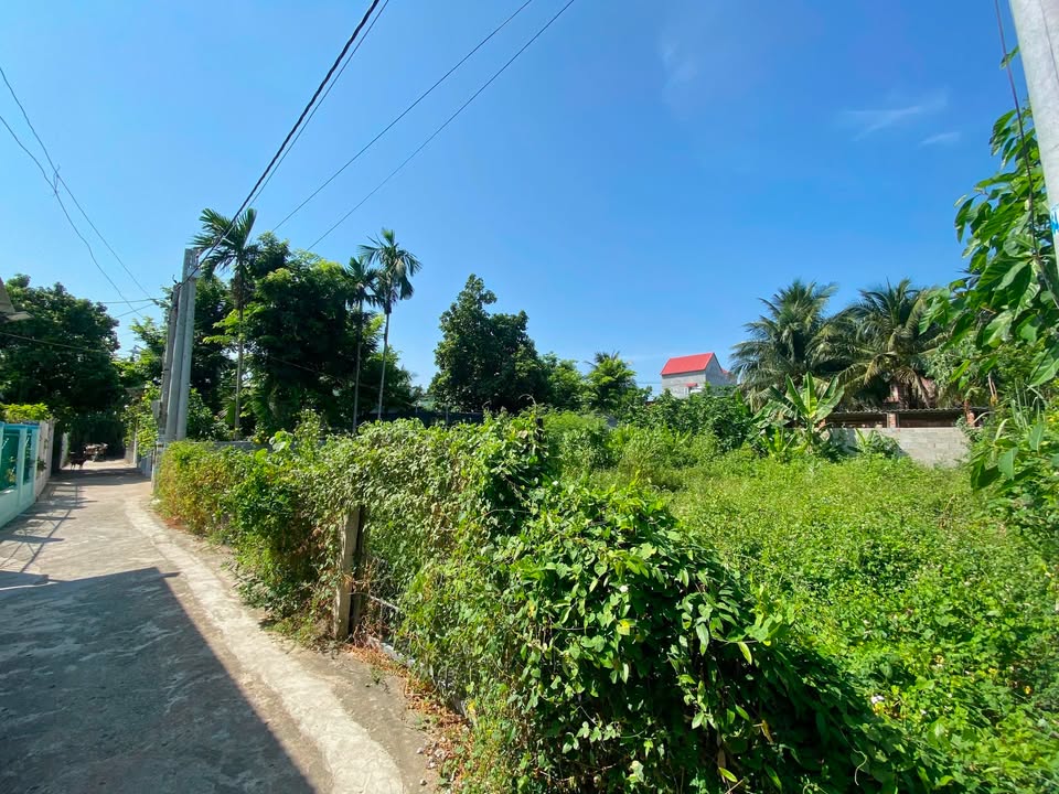 Đất thổ cư Đô Vinh, 108,3m² giá chỉ 650 triệu - Cơ hội đầu tư tuyệt vời!