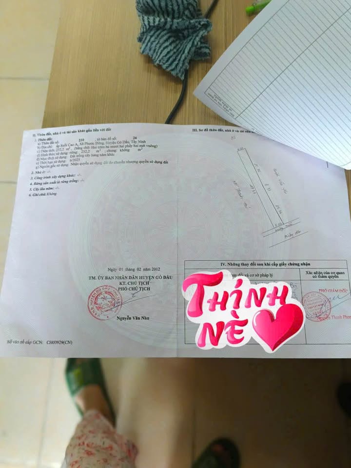 Nhà mặt tiền đường số 23, Phước Đông, 250m² giá 1.25 tỷ - Sổ hồng sang tên ngay!