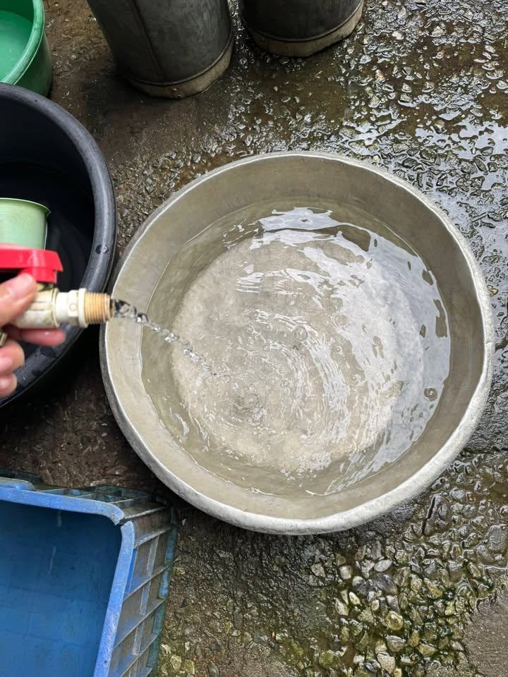 Đất thổ cư 23.000m² tại Phúc Tân, Thái Nguyên - Giá chỉ 3 tỷ, cơ hội đầu tư tuyệt vời!