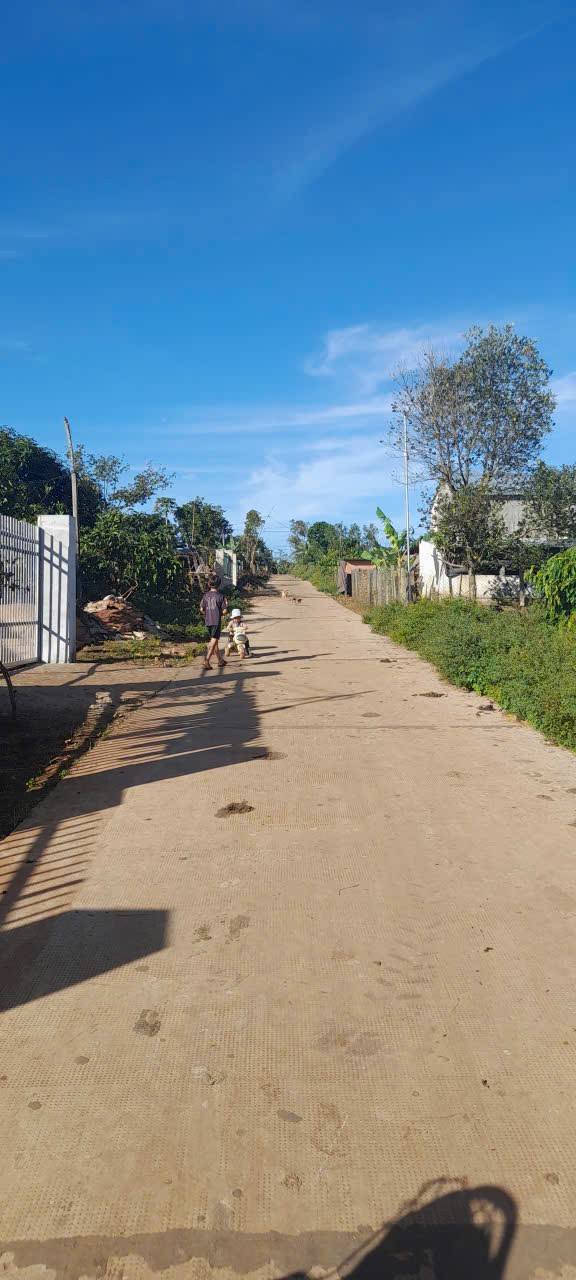 Đất nền Trương Định, Pleiku 290m² giá 599 triệu - Cơ hội đầu tư hiếm có!