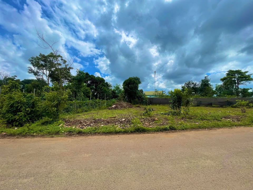 Đất mặt tiền Lý Chính Thắng, phường Hội Phú, 298m² - Đầu tư kinh doanh sinh lời!