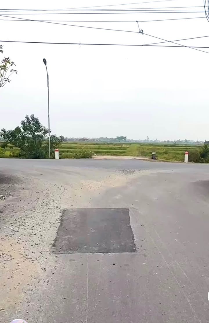 Đất thổ cư Thụy Dân, Thái Thụy 100m² - Giá thỏa thuận, đường ô tô tránh nhau