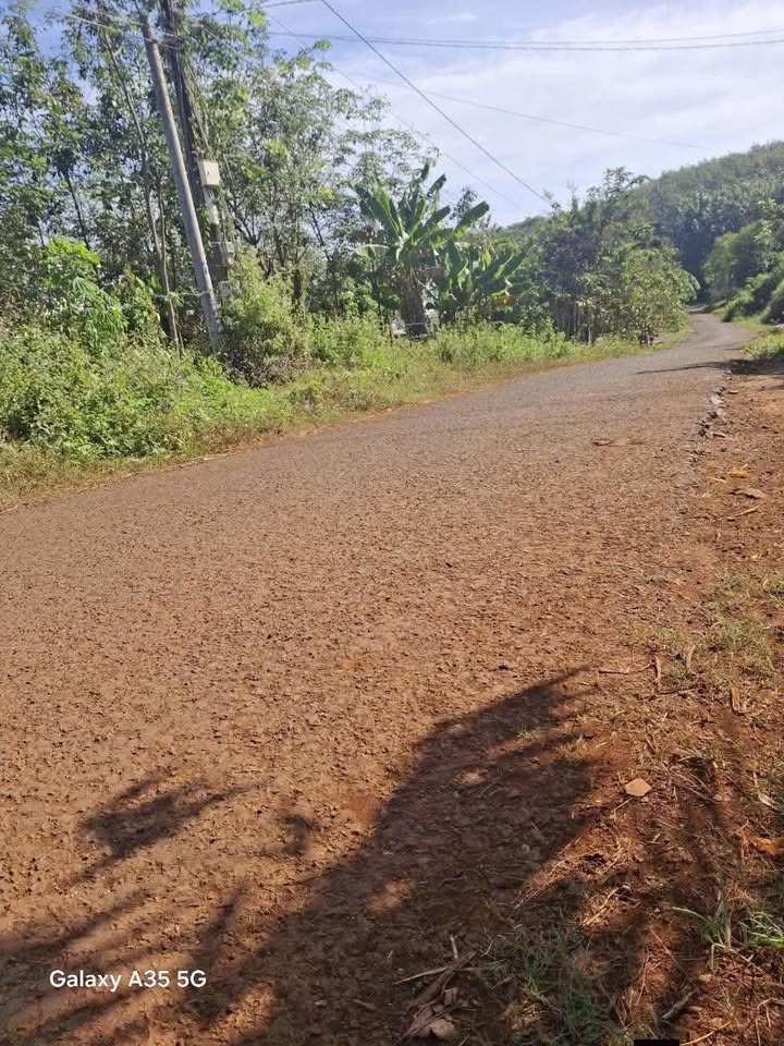 Đất nền 50.000m² tại An Khương, Hớn Quản - Đường nhựa rộng, giá thỏa thuận!