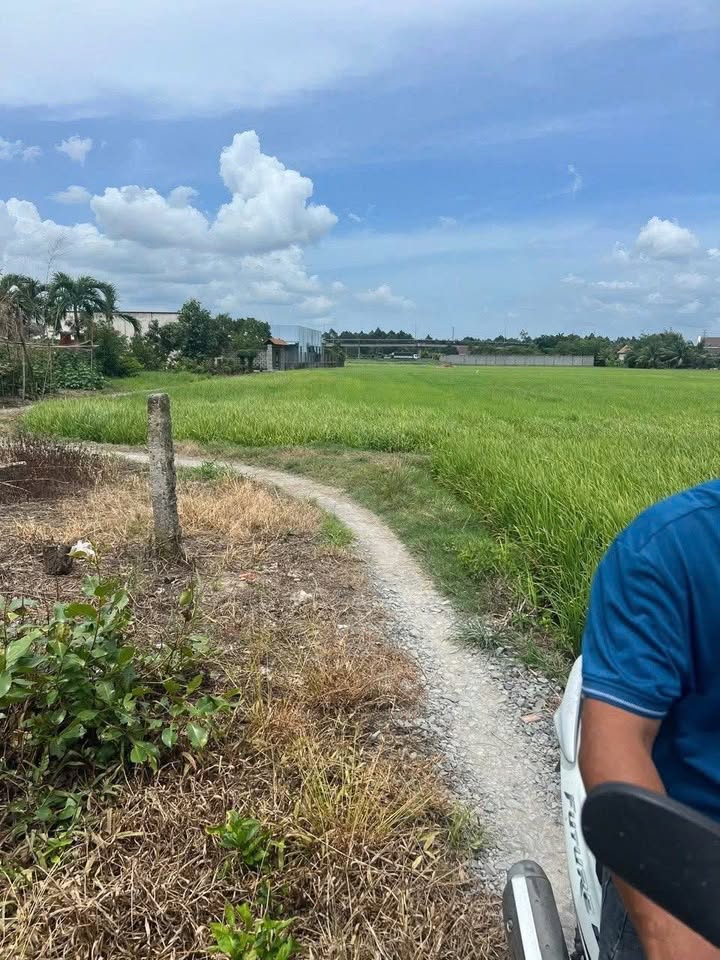 Nhà cấp 4 417m² xã Bình Đức, Bến Lức chỉ 800 triệu - Cơ hội đầu tư tuyệt vời!