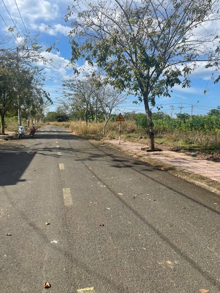 Đất thổ cư Tân Phú, Đồng Phú 228m² giá chỉ 900 triệu - Đầu tư sinh lời ngay!