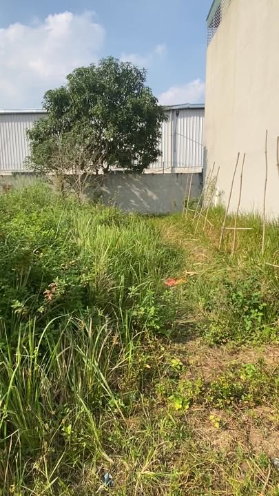 Đất giãn dân Bình Minh 84m² giá 2.4 tỷ - Cơ hội đầu tư hiếm có!