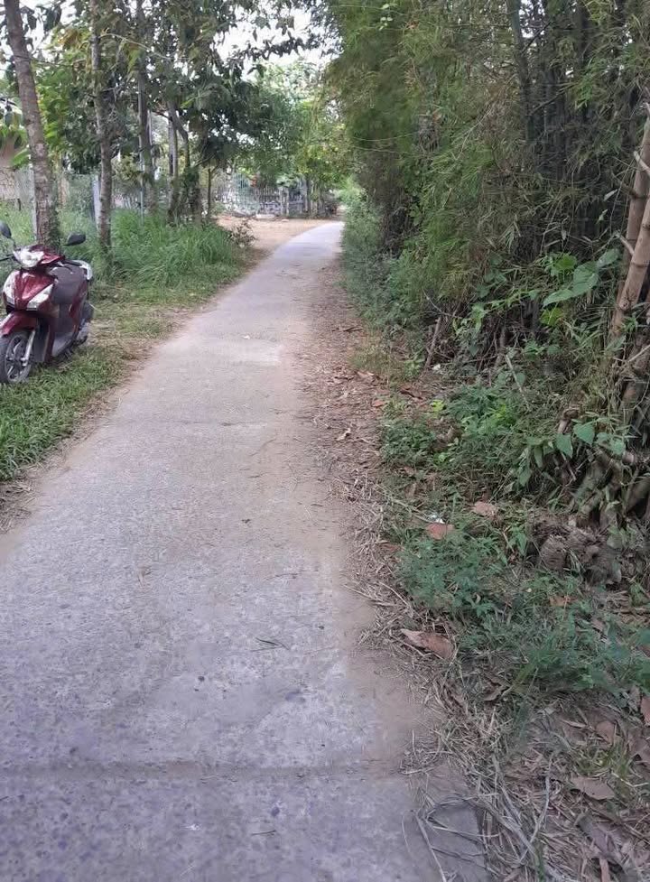 Đất mặt tiền đường Dal ấp Phú Nhiêu 7200m² giá 1.8 tỷ - Tiềm năng phát triển lớn!