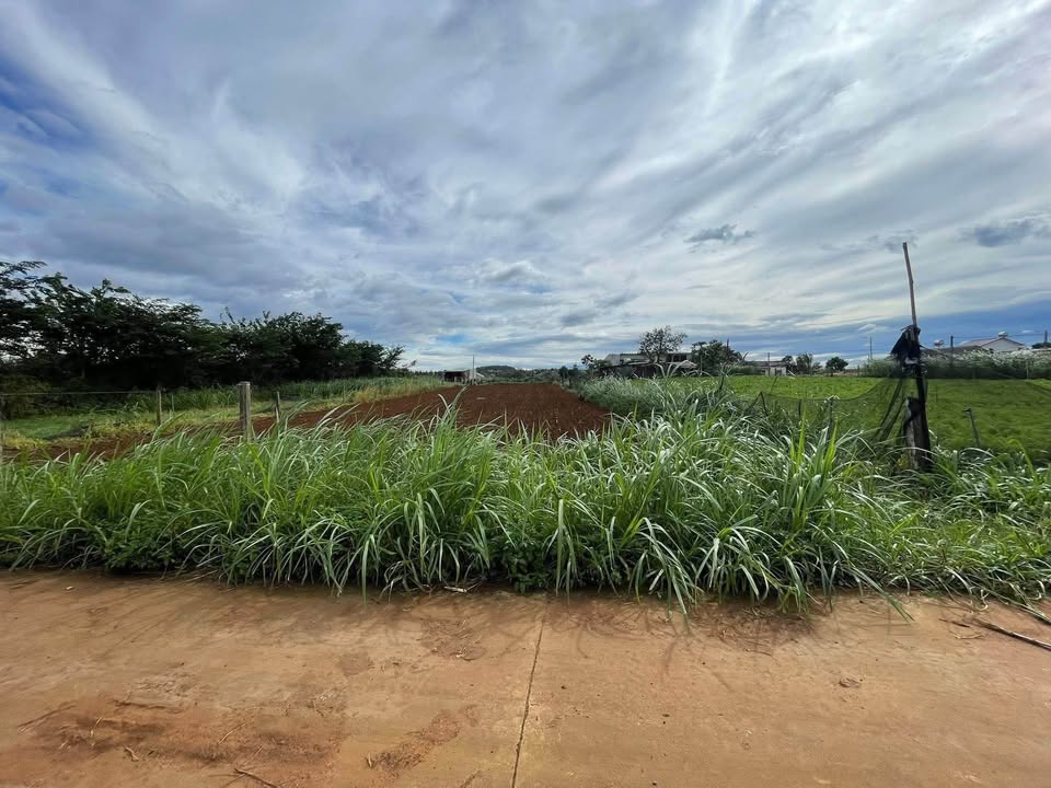 Đất nền Dương Minh Châu, Pleiku 220m² - Vị trí đẹp, giá thỏa thuận!