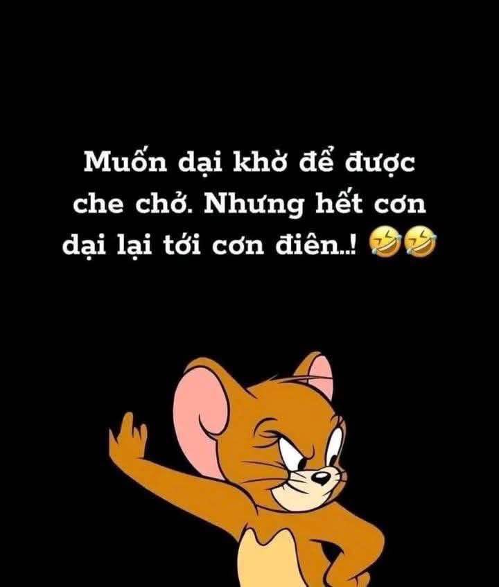 Đất nền An Bình - Thị Trấn Vũ Thư 50m² giá 1 tỷ - Pháp lý rõ ràng, nhanh tay sở hữu!