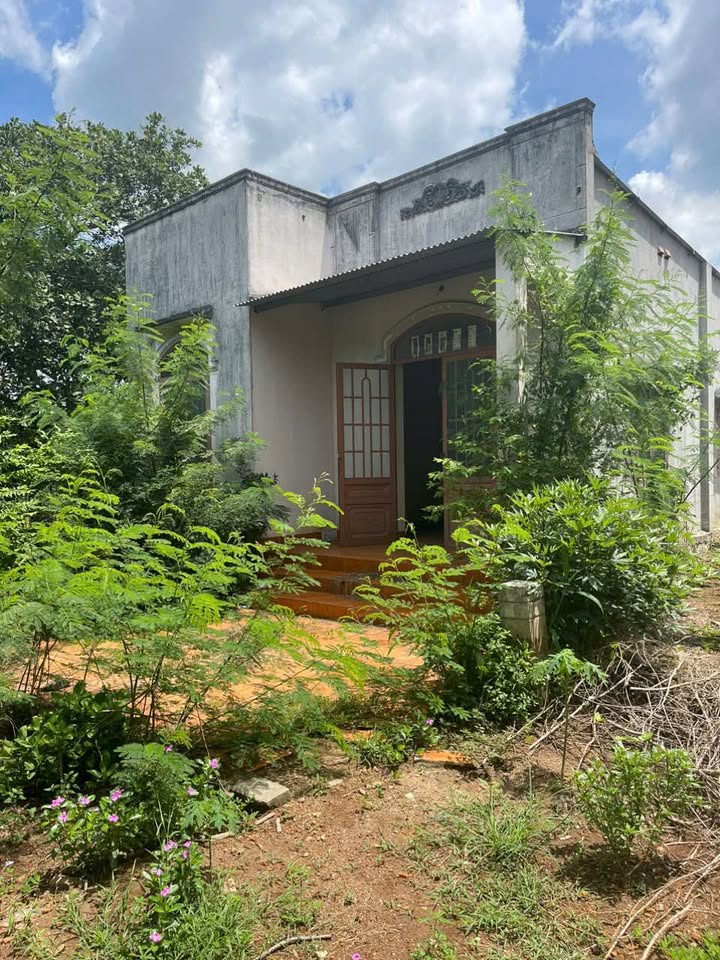 Đất Farm Bầu Lâm Xuyên Mộc 1.7ha - Sổ hồng chính chủ, Giá thỏa thuận!