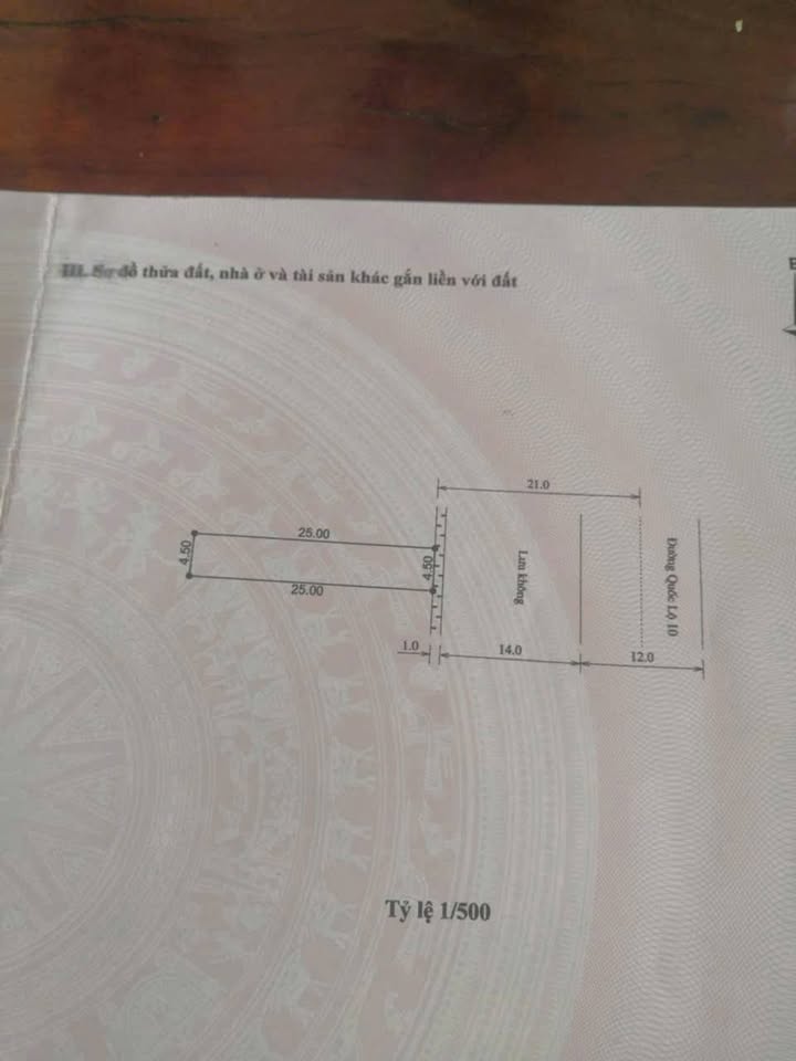 Đất mặt Quốc lộ 10, Hoằng Hóa, 125m² - Vị trí vàng cho kinh doanh