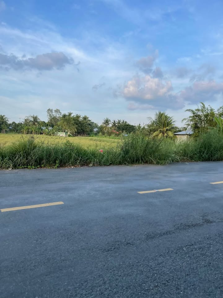 Đất nền mặt tiền lộ nhựa 919, Trường Xuân, Cần Thơ 882m² - Tiềm năng đầu tư lớn!