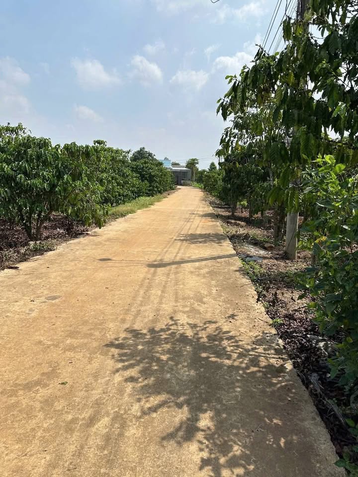 Đất nền xã Bình Thạnh, Đức Trọng 1664m² giá chỉ 2.3 tỷ - Cơ hội đầu tư hấp dẫn!