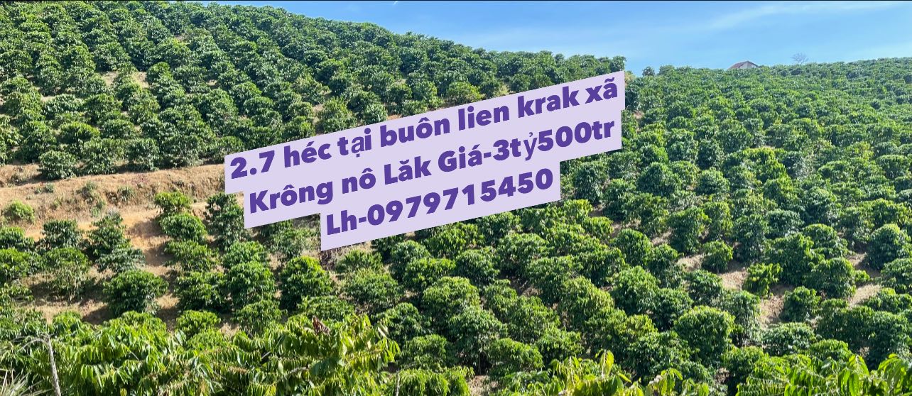 Lô đất Farm siêu đẹp tại Lắk 27.000m² giá 3.5 tỷ - Cơ hội đầu tư hiếm có!