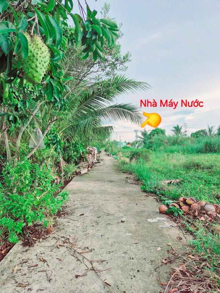 Đất thổ cư 110m² tại Ấp 2 Hựu Thạnh - Giá chỉ 550 triệu - Cơ hội đầu tư hấp dẫn!