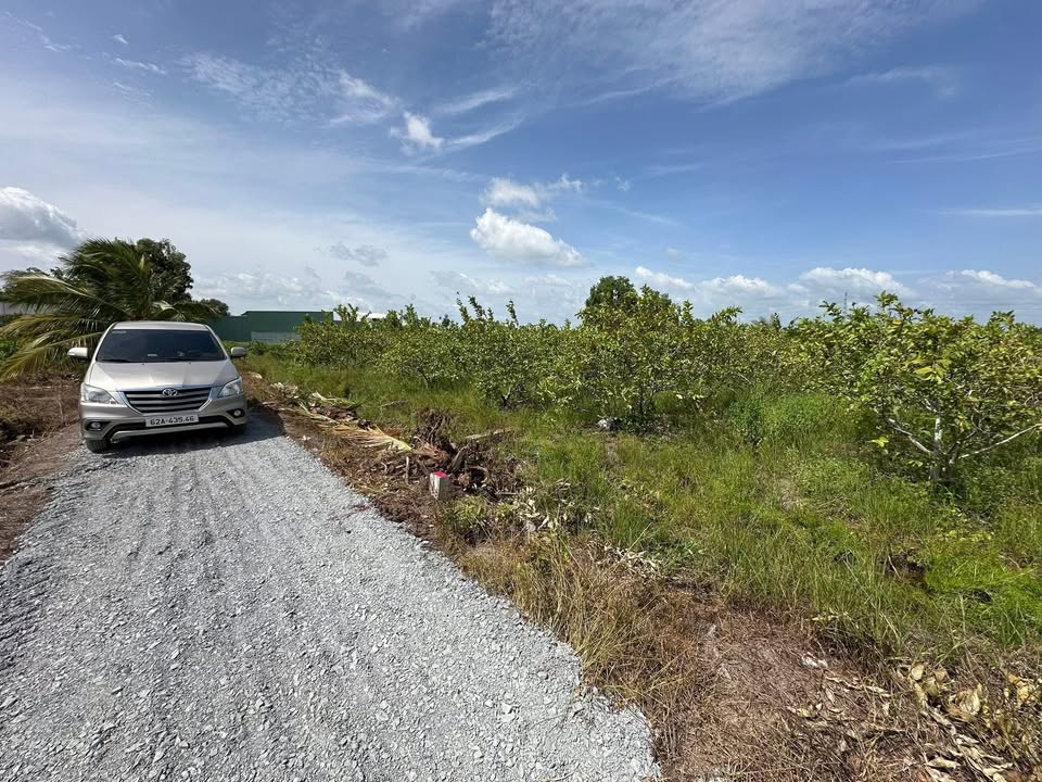 Đất vườn 750m² Ấp 1, Bình Đức, Tây Ninh giá 1,15 tỷ - Đầu tư sinh lời!