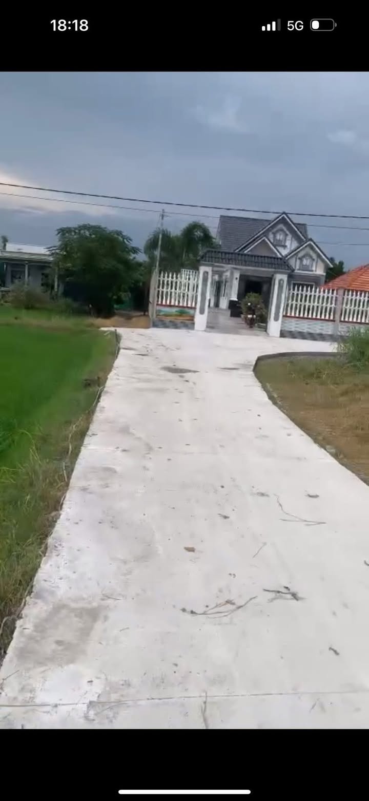 Đất thổ cư mặt tiền đường Đan 1000m² tại Phước Đông, Cần Đước - Giá chỉ 3.2 tỷ!