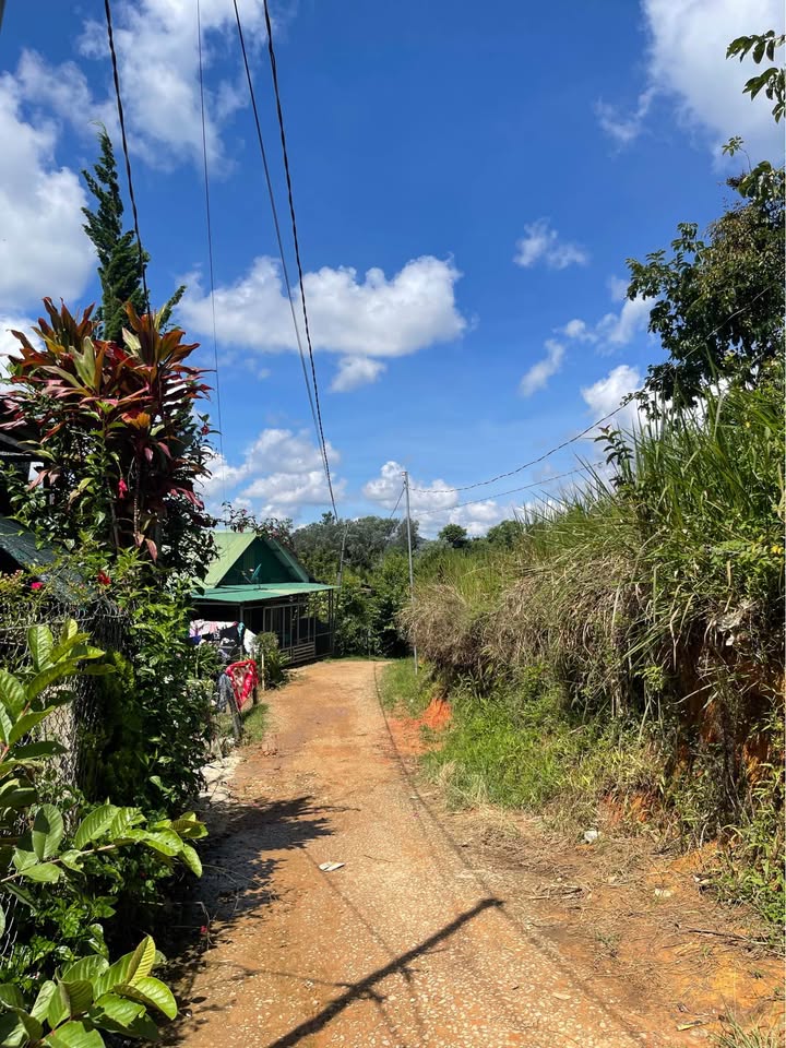 Đất nền Đạ Nhim, Lạc Dương 200m² giá 700 triệu - Cơ hội đầu tư lý tưởng!