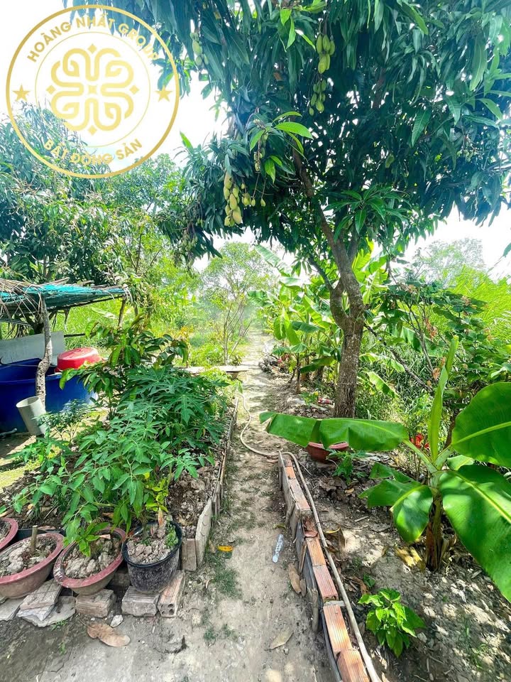 Đất thổ cư Hồ Thị Kỷ, Thới Bình 392m² giá 1 tỷ - Đầu tư sinh lời ngay!