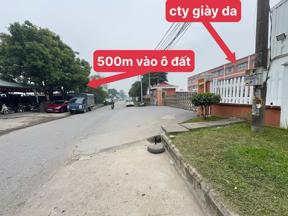 Đất nở hậu 300m² Kim Long, Tam Dương - Giá chỉ 1.3 tỷ tốt nhất thị trường!