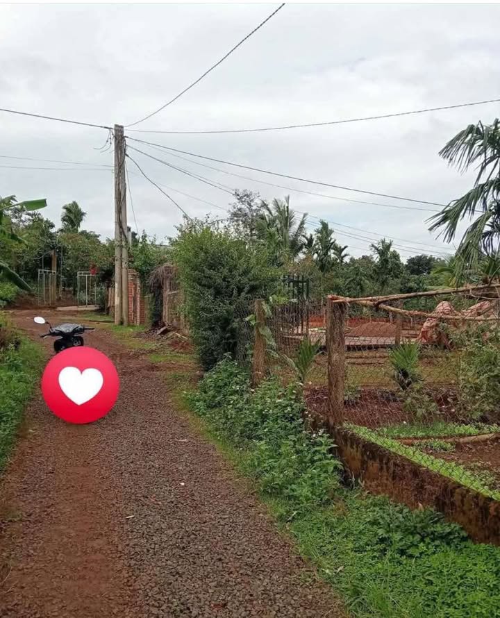 Đất Pơng Drang Krông Búk 150m² giá 520 triệu - Sổ đỏ chính chủ, bớt lộc!