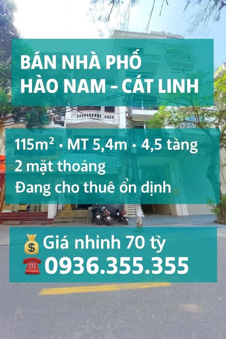 Bán nhà mặt phố Hào Nam, Cát Linh, 115m² giá 70 tỷ - Kinh doanh đỉnh cao!