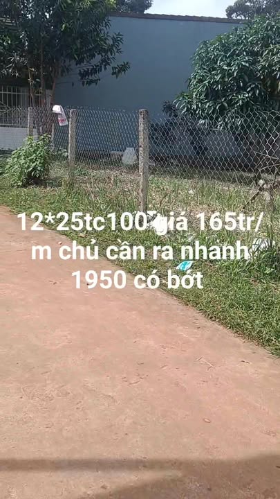 Đất thổ cư Đắk Lao 300m² giá 1.95 tỷ - Vị trí đắc địa gần trung tâm thương mại!