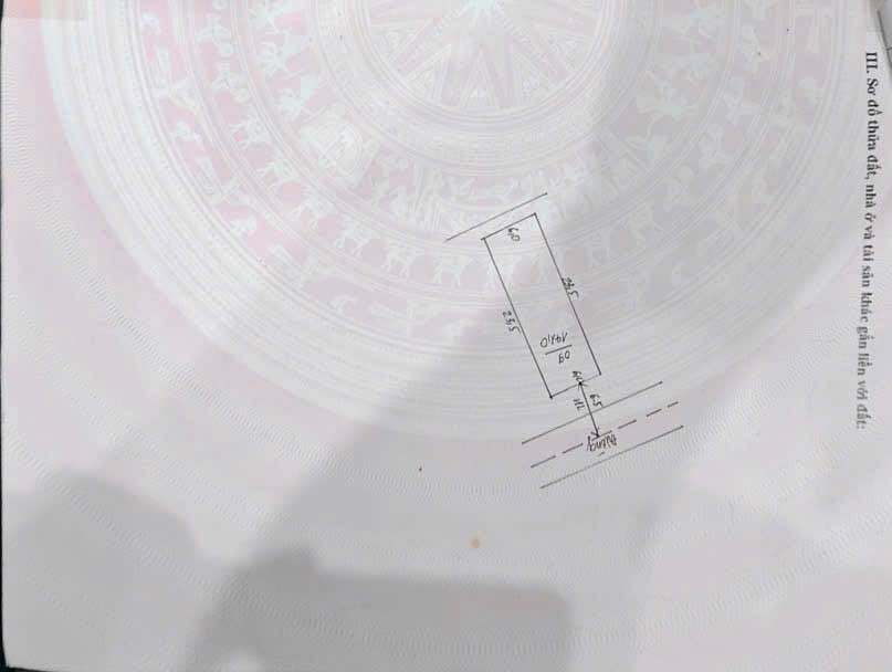 Đất đấu giá Đông Phú, Lục Nam 141m² giá 900 triệu - Kinh doanh sầm uất!