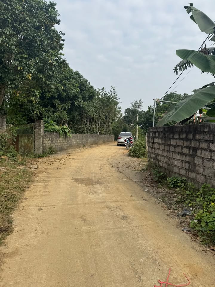 Đất Cư Yên Lương Sơn 173m² giá 1.2 tỷ - Sổ đỏ chính chủ, đầu tư sinh lời!