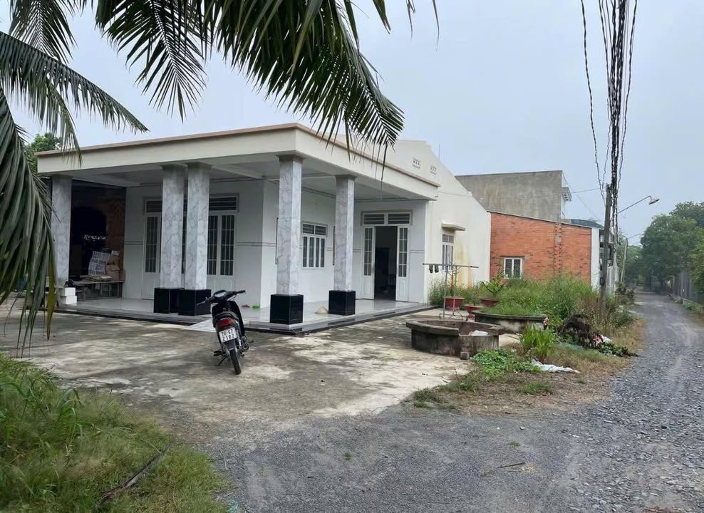 Nhà cấp bốn Phường Long Hoa Tây Ninh 303m² giá 950 triệu - Sẵn sàng dọn vào ở ngay!