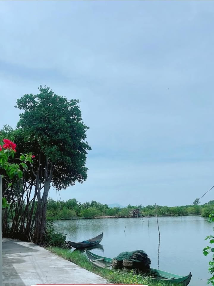 Đất nền Phước Thuận 90m² giá chỉ 400 triệu - Cơ hội đầu tư tuyệt vời!