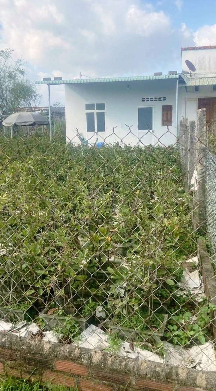 Đất Nhơn An 316m² giá 1.1 tỷ - Thích hợp làm nhà vườn hoặc nghỉ dưỡng!