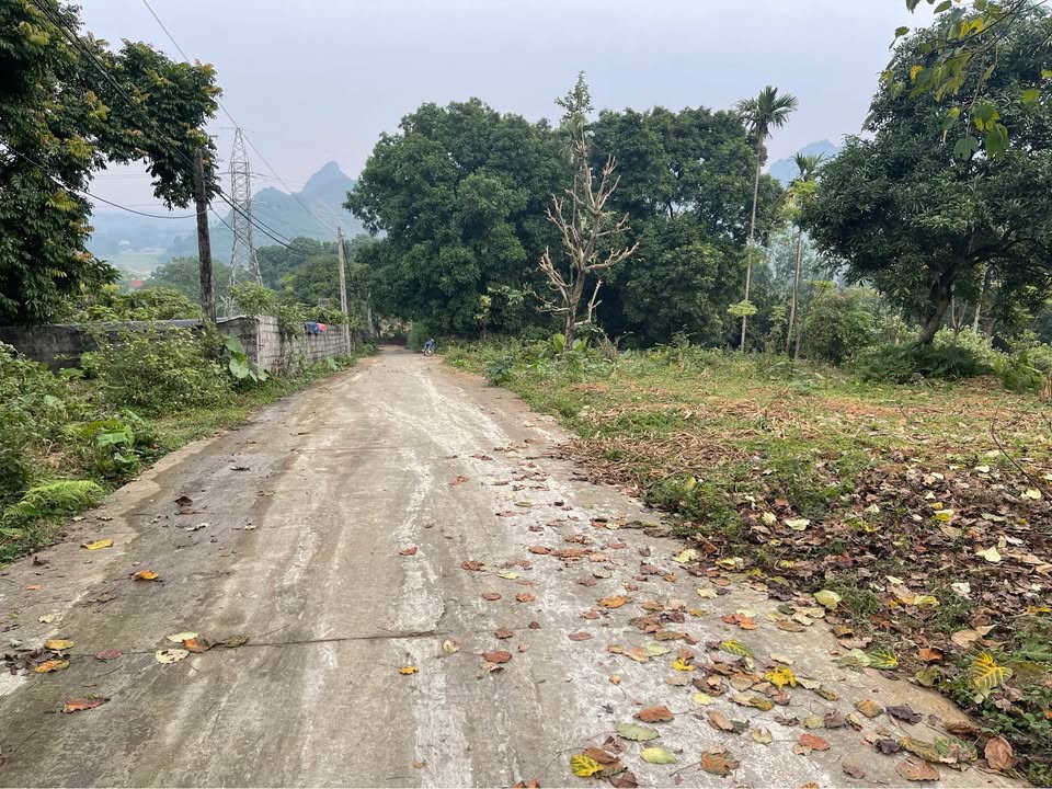 Đất nền 2.600m² tại xã Liên Sơn, huyện Lương Sơn - Phong thủy đẹp, khí hậu trong lành!