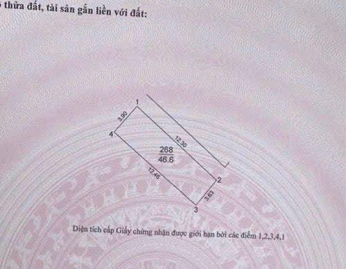 Đất lô góc 46m² Thôn Nhuế, Thiên Lộc, Đông Anh giá 5 tỷ - View hồ đẹp, sổ đỏ nở hậu!