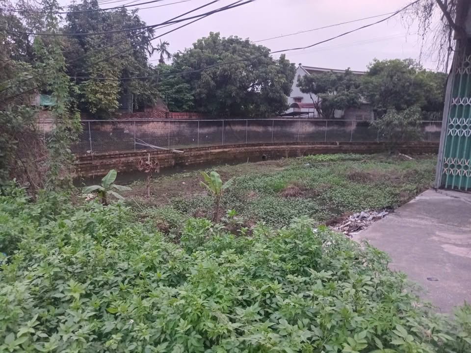 Đất nền mặt đường Quốc lộ 37, xã Việt Tiến, 73m² giá 3.7 tỷ - Cơ hội đầu tư hấp dẫn!