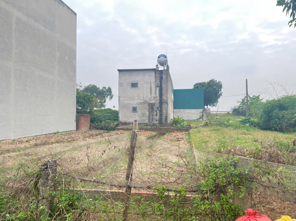 Đất nền Phùng Nguyên Lâm Thao 120m² giá 1.1 tỷ - Cơ hội đầu tư tuyệt vời!