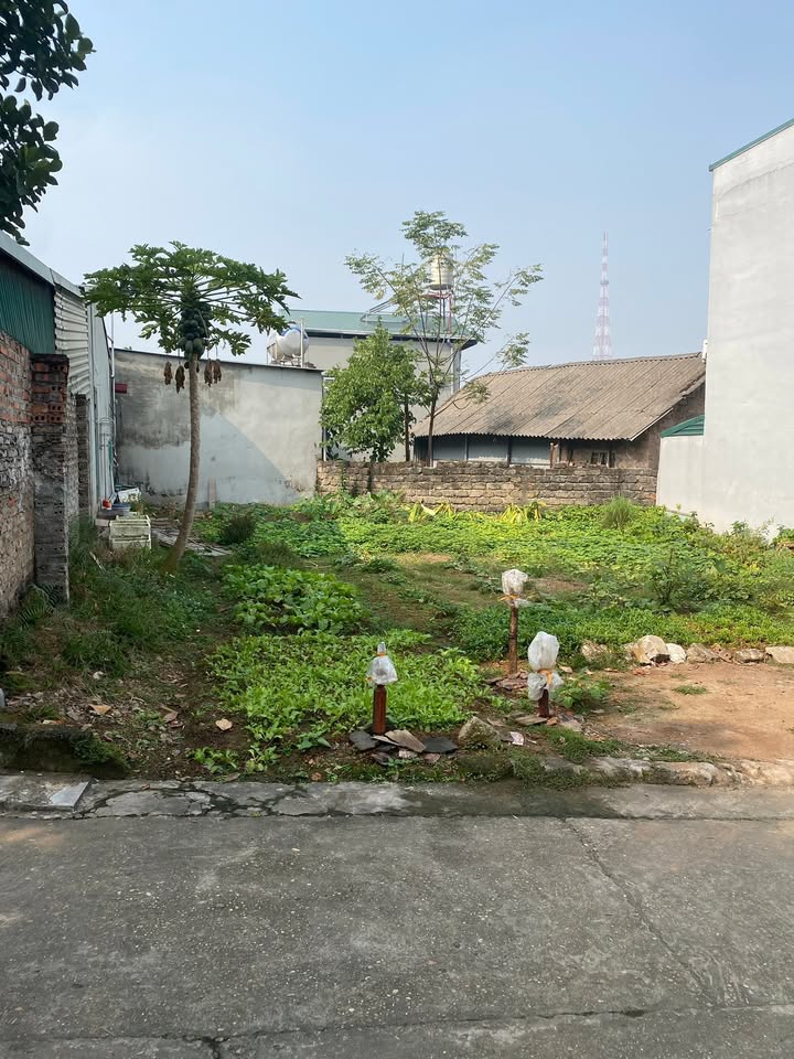 Đất nền Phường Việt Trì 50m² giá 3 tỷ - Vị trí trung tâm, pháp lý rõ ràng!