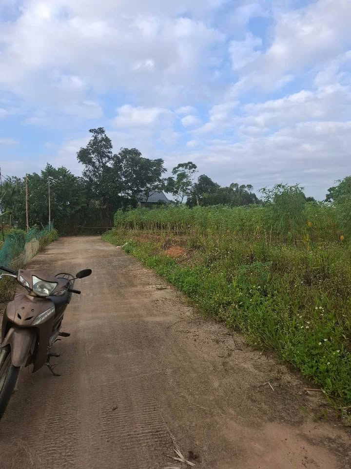 Đất thổ cư 162m² tại Khu phố 2, Thọ Văn, 300 triệu - Đầu tư sinh lời ngay!