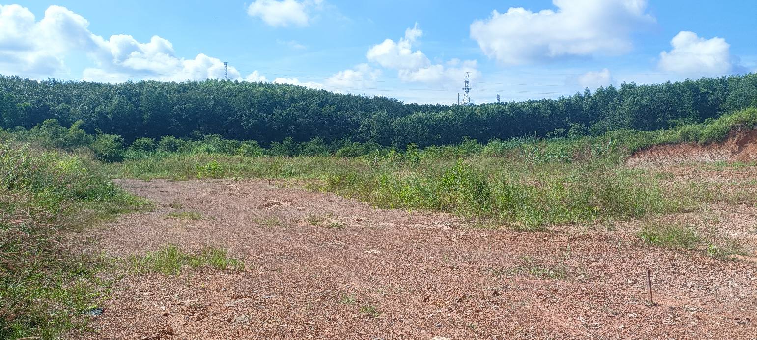 Đất nền tại xã Trị An, Vĩnh Cửu, 19000m² giá 7.47 tỷ - Cơ hội đầu tư vàng!