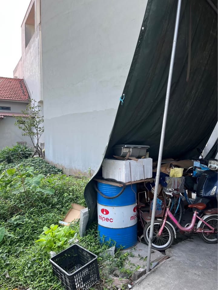 Nhà riêng Bát Khối, Đông Dư, 31m² giá 3 tỷ - Giao thông thuận tiện, sẵn sổ đỏ!