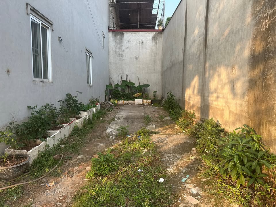 Đất nền Nam Hồng Đông Anh 41m² giá 3 tỷ - Đầu tư sinh lời cao!