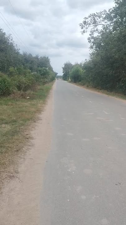 Đất mặt tiền ĐT 785D, Tân Hội, Tân Châu 45m² giá 3.15 tỷ - Cơ hội đầu tư hấp dẫn!