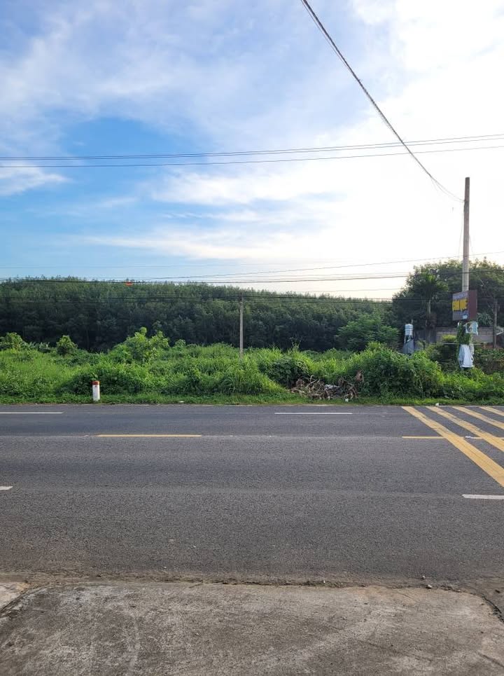 Đất mặt tiền đường Tôn Đức Thắng, phường Ngô Mây, 330m² - Diện tích rộng, vị trí kinh doanh đắc địa!