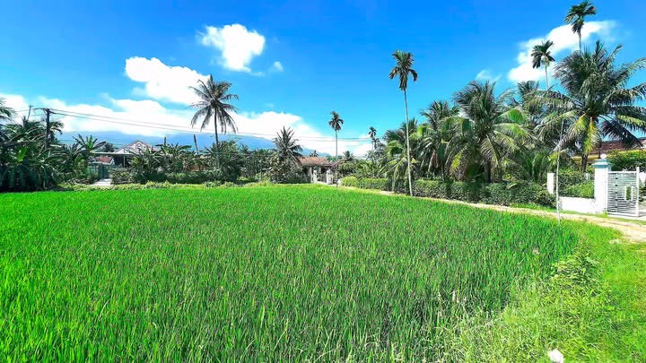 Nhà cấp 4 Nam Ninh Hòa 260m² giá chỉ 900 triệu - Pháp lý sổ hồng rõ ràng!