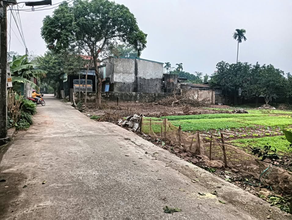 Lô đất thổ cư Nhân Khang, Lý Nhân 247m² giá 1 tỷ - Đường ô tô thông thoáng!