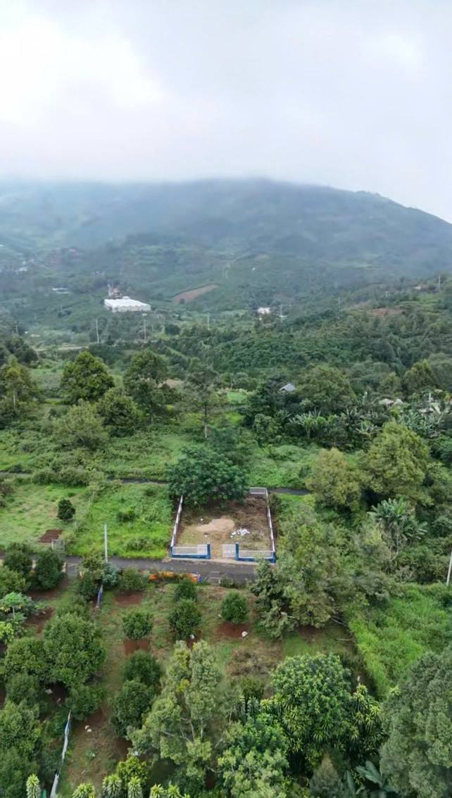 Đất nền Bảo Lộc 304m² giá 2.65 tỷ - Sổ hồng chính chủ, xây nhà ở ngay!