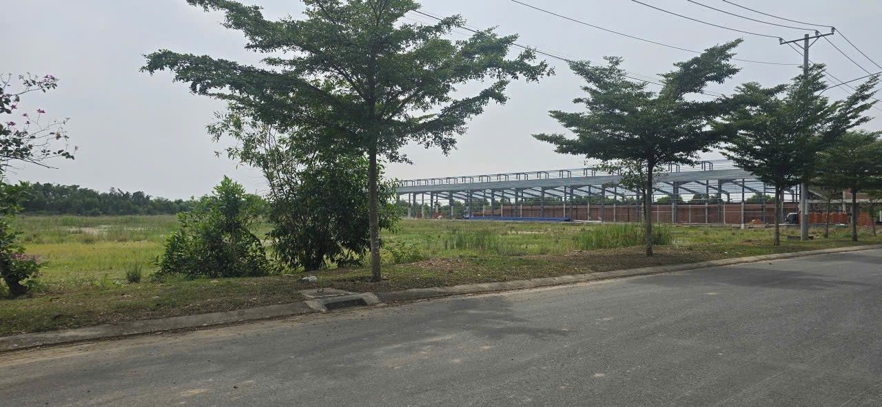 Đất KCN Đức Hòa Hạ 5000m² giá 80 tỷ - Cơ hội đầu tư hấp dẫn!