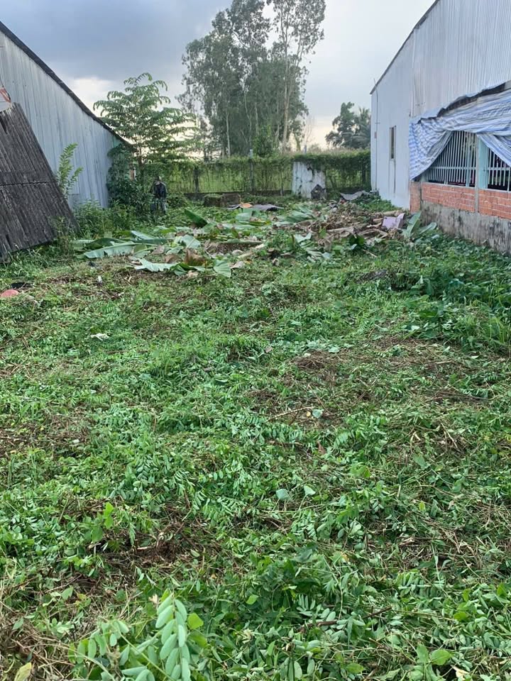 Đất thổ cư 192m² tại đường Lộ Kênh Sáng, Cà Mau - Giá tốt, vị trí đẹp!