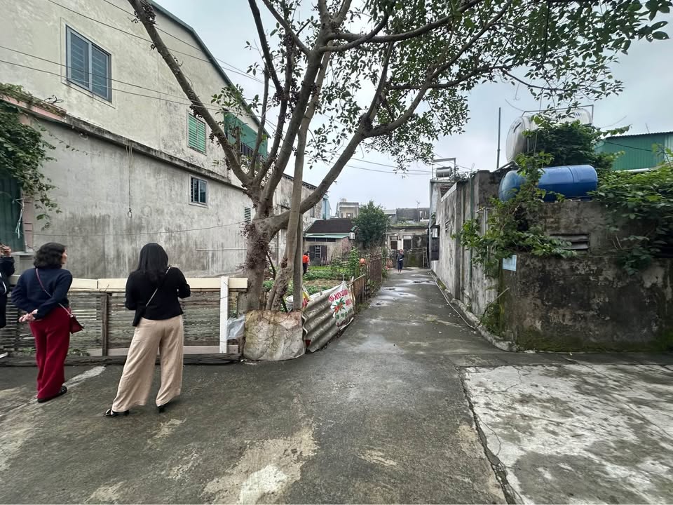 Đất Lô Góc Nghi Kim 60m² giá 1 tỷ - Cơ hội đầu tư tuyệt vời!