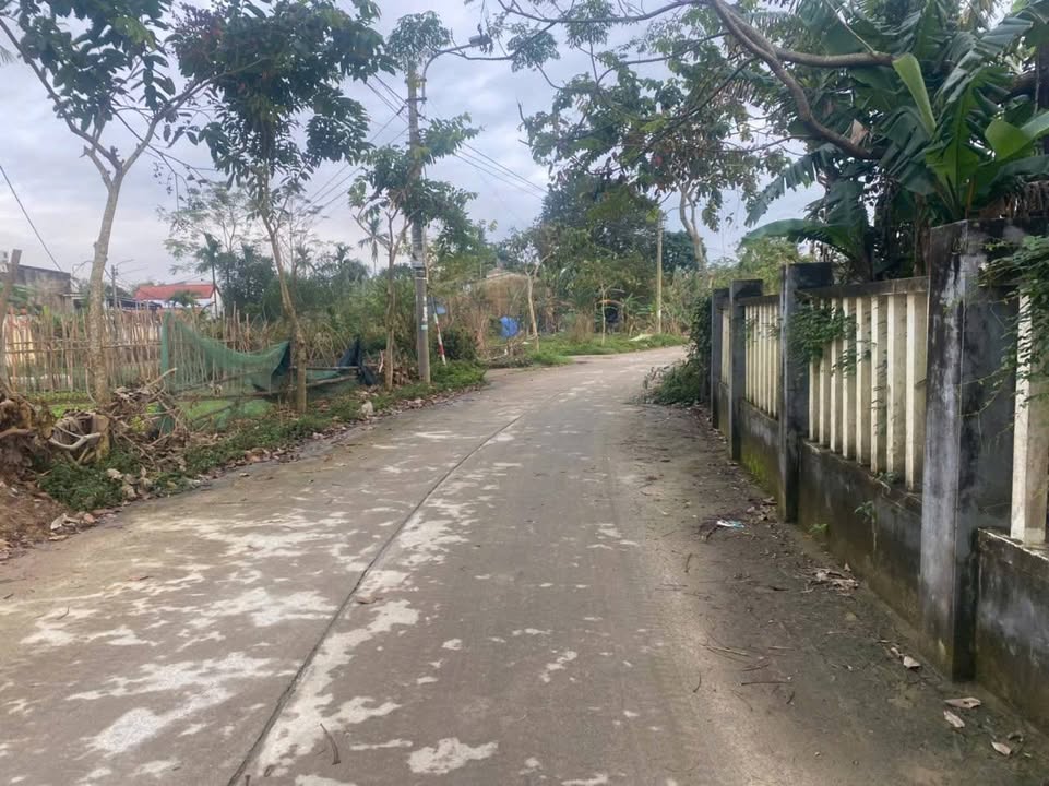 Bán lô đất đẹp 120m² tại Thôn Thạch Bồ, Hòa Vang - Đầu tư sinh lời bền vững!